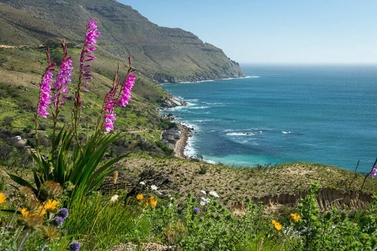 The base of Chapman's Peak.