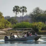 Boat cruises at Toka Leya Camp provide a fresh twist on game viewing.