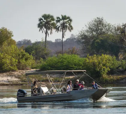 Boat cruises at Toka Leya Camp provide a fresh twist on game viewing.