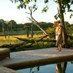 Views from the swimming pool.