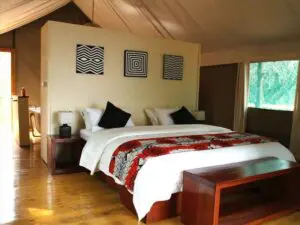 La suite situada en lo alto de un árbol ofrece lujos adicionales, como una cama extragrande y una bañera independiente.