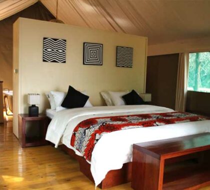 The tree-top suite offers extra luxury including a king-sized bed and a freestanding bathtub.
