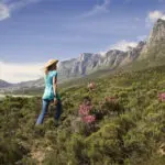 Rodeado de flora autóctona, el Hotel 12 Apóstoles se asienta en un espléndido aislamiento en las salvajes laderas occidentales de Table Mountain.