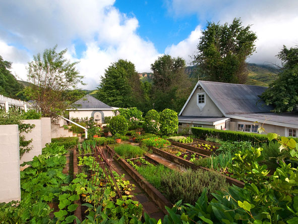 The established vegetable garden at Cleopatra's is one of the reasons it is considered a gourmet hotspot in the region.
