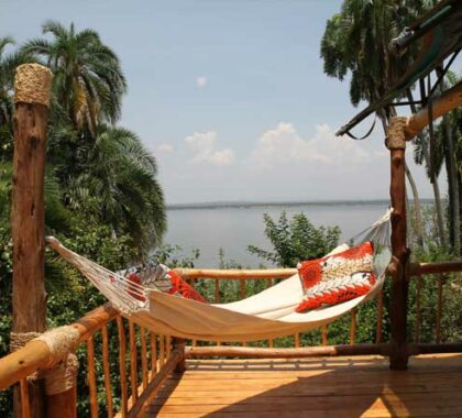 Raised four metres above ground, the tree-top suite offers lovely views of the lake.
