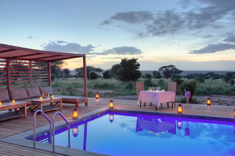 Dine with a view of Tanzania's wild beautiful and landscape.