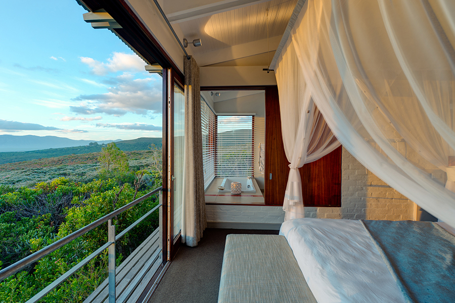 View from the bedroom of your private suite at Forest Lodge.