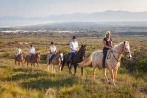 Explore a caballo el Reino Floral del Cabo.