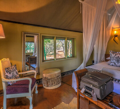 Interior of the luxury safari tent at White Elephant.