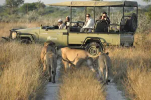 Set in the wild & remote Central Kalahari Game Reserve.