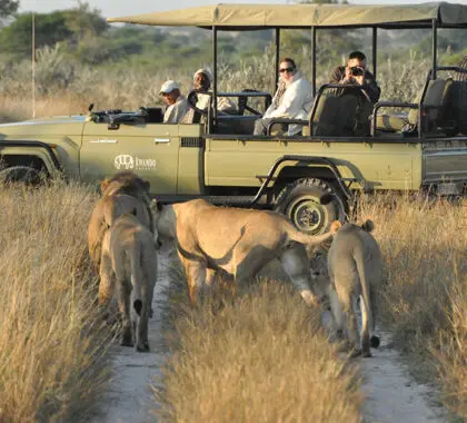 Situado en la salvaje y remota Reserva de Caza del Kalahari Central.