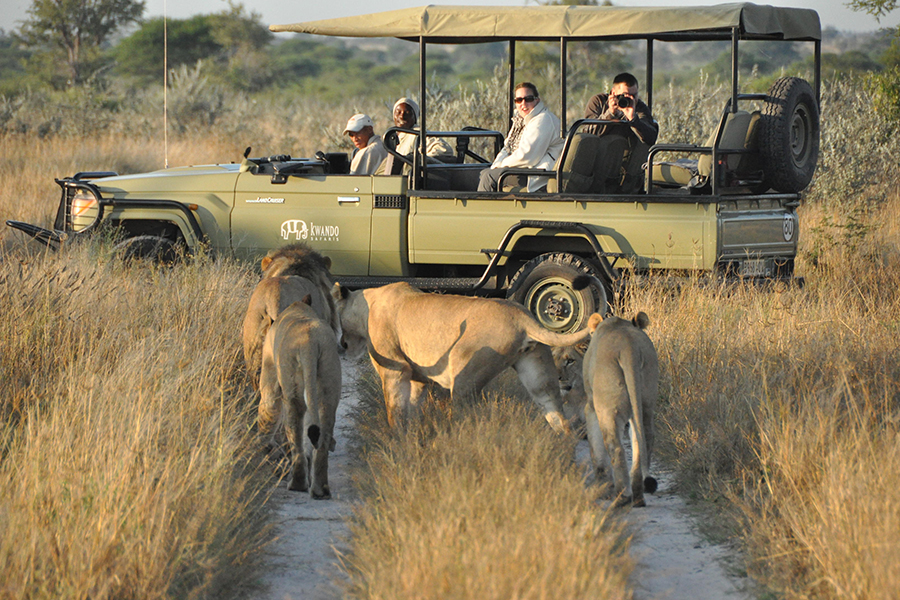 Set in the wild & remote Central Kalahari Game Reserve.