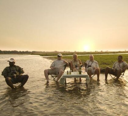 Get in touch with nature as you enjoy a cool sundowner with your guide.
