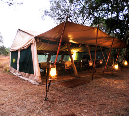 Start your safari with canvas & candlelight at Nairobi Tented Camp, set just outside the capital.