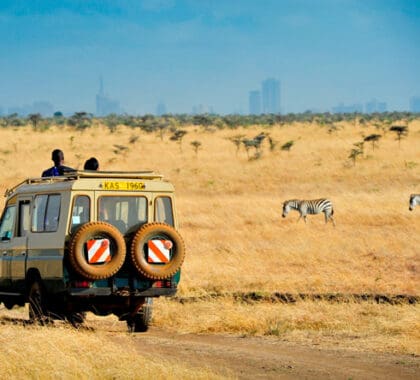 Un safari por el Parque Nacional de Nairobi prepara el terreno para el siguiente avistamiento.