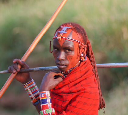 You'll have the chance to visit a local village & absorb a little of the Maasai culture.