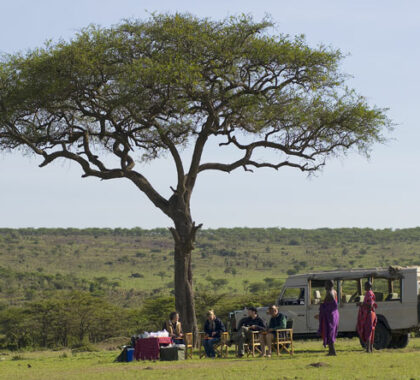 A comfy chair & hot drinks make a nice surprise during a game drive.