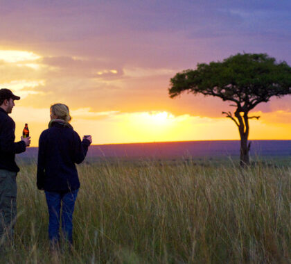 Your guide will ensure you enjoy sunset with your favourite cold drink.
