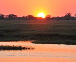 Il fiume Chobe è famoso per i suoi tramonti ipnotici, da godersi con una bibita fresca in mano!