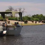 Le piccole imbarcazioni offrono alcune delle migliori opportunità di osservazione della selvaggina del Chobe, soprattutto nella secca stagione invernale.