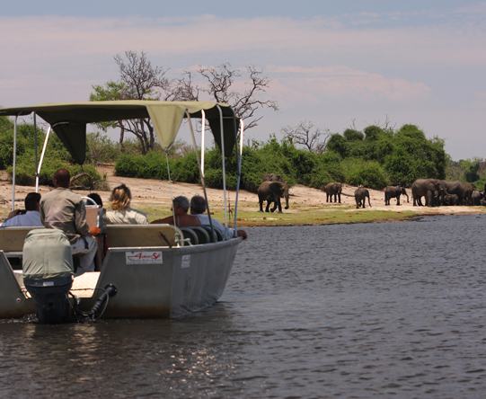 Small boats offer some of Chobe's best game viewing opportunities, especially in the dry winter season.