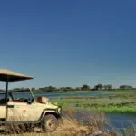 Oltre ai safari in barca, esplorerete le pianure alluvionali del fiume Chobe a bordo di un veicolo 4X4 aperto.