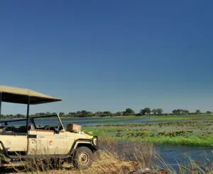 Oltre ai safari in barca, esplorerete le pianure alluvionali del fiume Chobe a bordo di un veicolo 4X4 aperto.