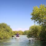 Disfrute de actividades acuáticas como kayak, surf de remo y buceo. 