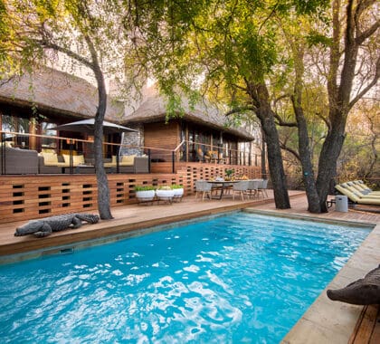 Private pool dreams | Morukuru River House