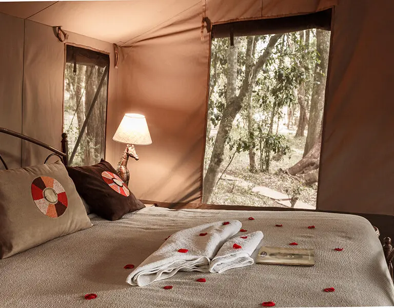 nairobi-tented-camp-tent-interior-4