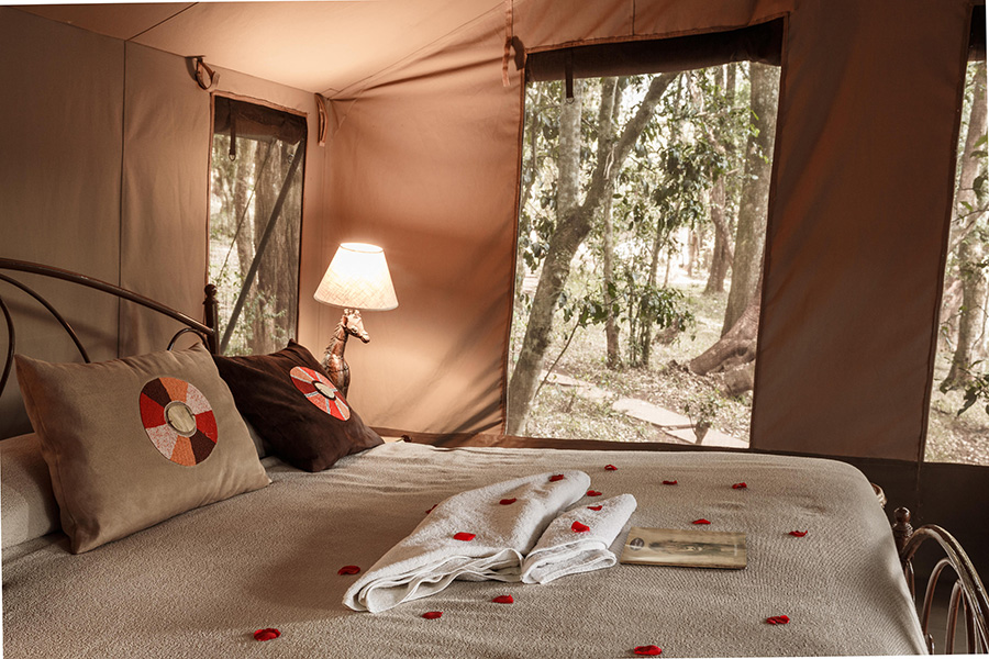 nairobi-tented-camp-tent-interior-4
