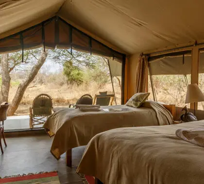 Interior de la tienda del campamento Porini Amboseli.