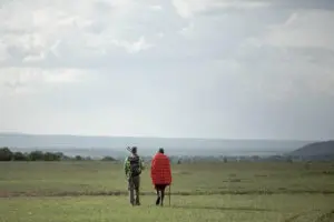 Stroll beside the Maasai on guided walks at Porini Mara Camp.