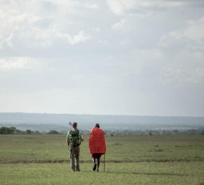 Stroll beside the Maasai on guided walks at Porini Mara Camp.