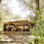 Stay at Nairobi Tented Camp in Nairobi National Park.