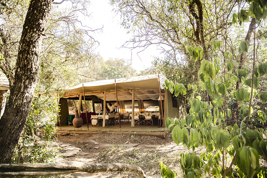 Stay at Nairobi Tented Camp in Nairobi National Park.