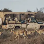 Enjoy game drives through Amboseli National Park.