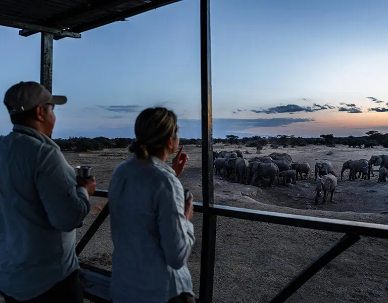 porini-amboseli-camp-viewing-deck-4