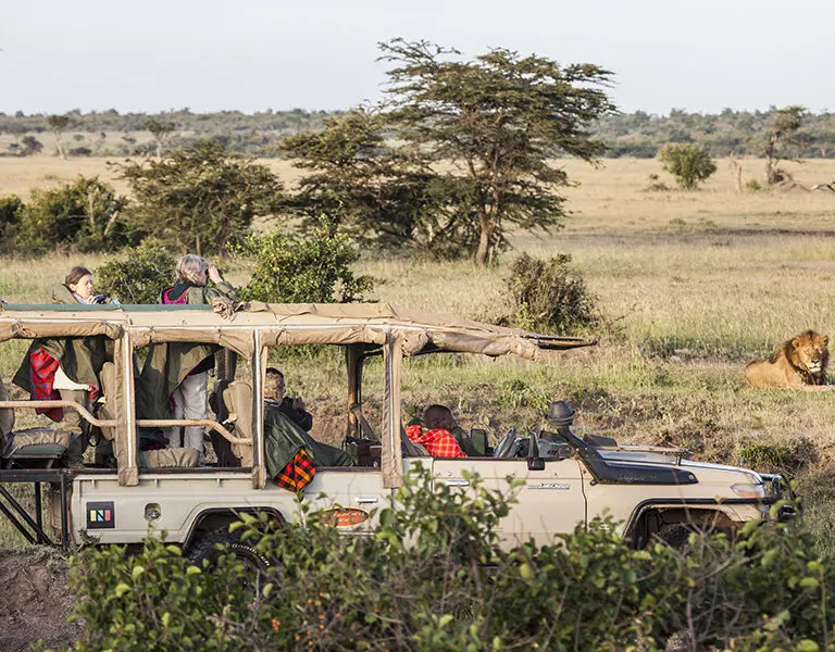 porini-mara-camp-game-drive-in-ol-kinyei-conservancy-3