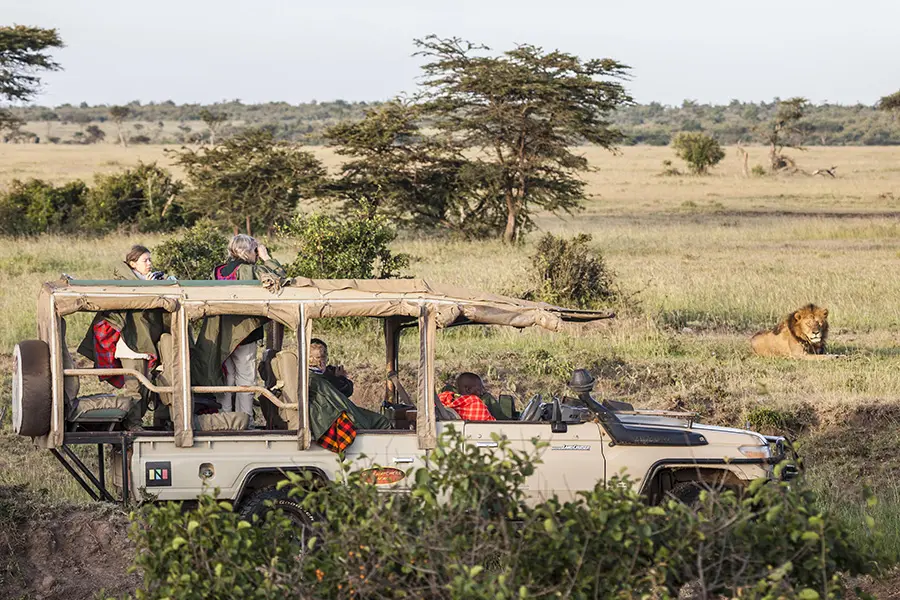 porini-mara-camp-game-drive-in-ol-kinyei-conservancy-3