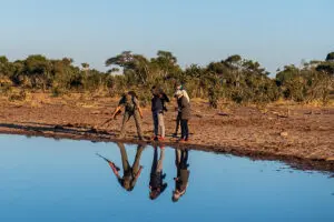 Go on guided walking safaris with specialist guides. 