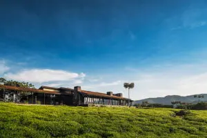 Situated on the edge of the ancient Nyungwe Forest in Rwanda, the largest mountain rainforest in Africa. 
