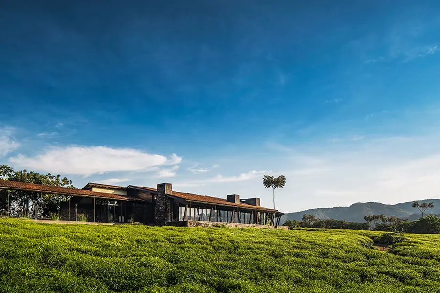 Situated on the edge of the ancient Nyungwe Forest in Rwanda, the largest mountain rainforest in Africa. 