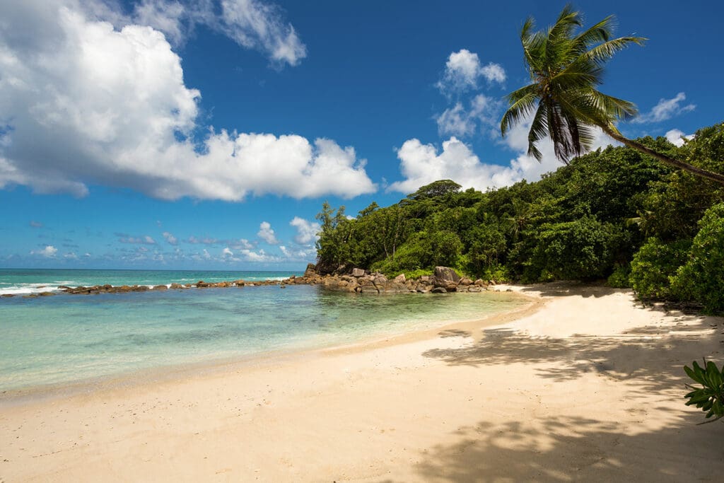 AVANI-Seychelles