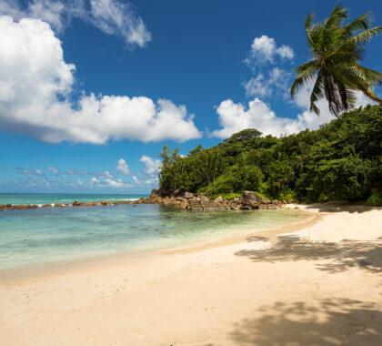 AVANI-Seychelles