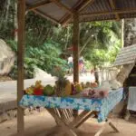 Des fruits tropicaux, des smoothies et des jus fraîchement pressés sont en vente dans de petites échoppes au bord de la route.