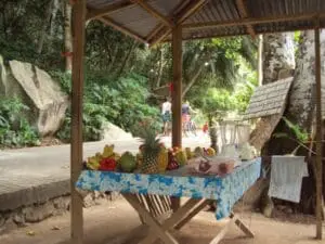 Des fruits tropicaux, des smoothies et des jus fraîchement pressés sont en vente dans de petites échoppes au bord de la route.  