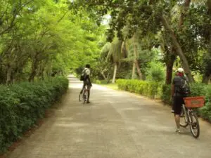 Louez un vélo pour la journée et explorez les rues tropicales de La Digue.