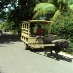 Trouvez votre propre plage tranquille à partir de laquelle vous pourrez explorer et découvrir les récifs coralliens et la vie marine tropicale.