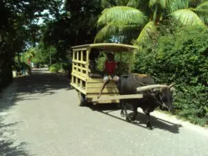 Trouvez votre propre plage tranquille à partir de laquelle vous pourrez explorer et découvrir les récifs coralliens et la vie marine tropicale.